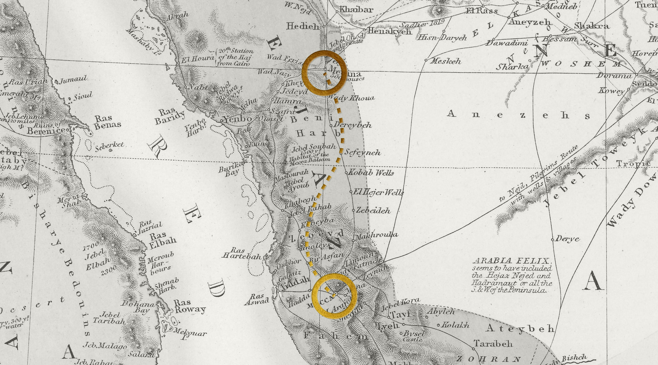 Ave Meca Medina 03 Ave Meca Medina 03